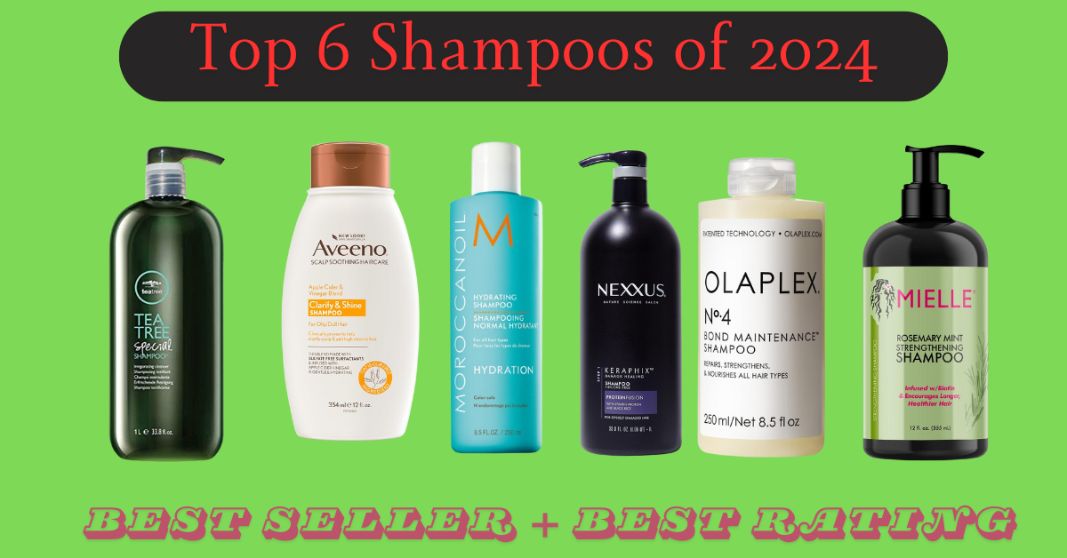 Top 6 Shampoos of 2024